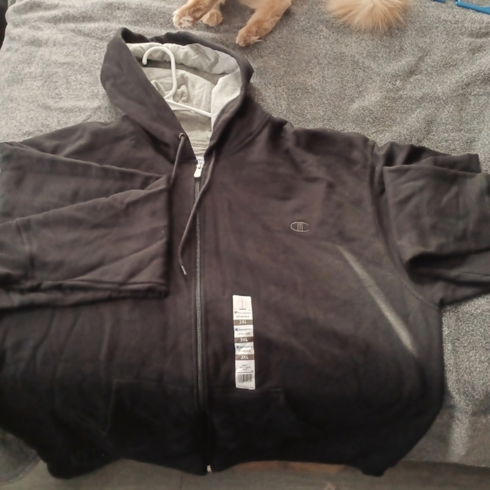 Mens Champion Hoodie